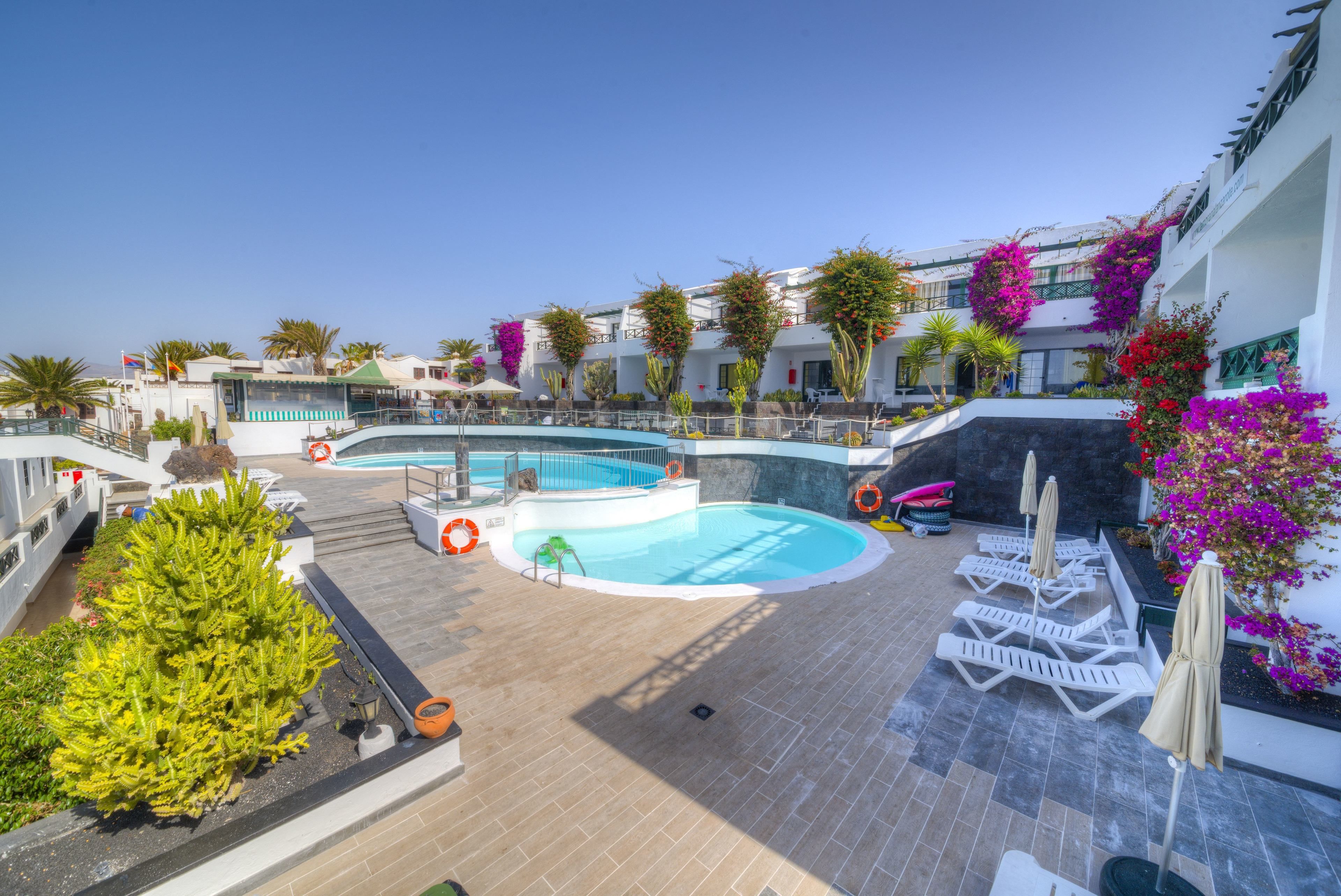 A pool area with lounge chairs and umbrellas, surrounded by palm trees and flowering plants.