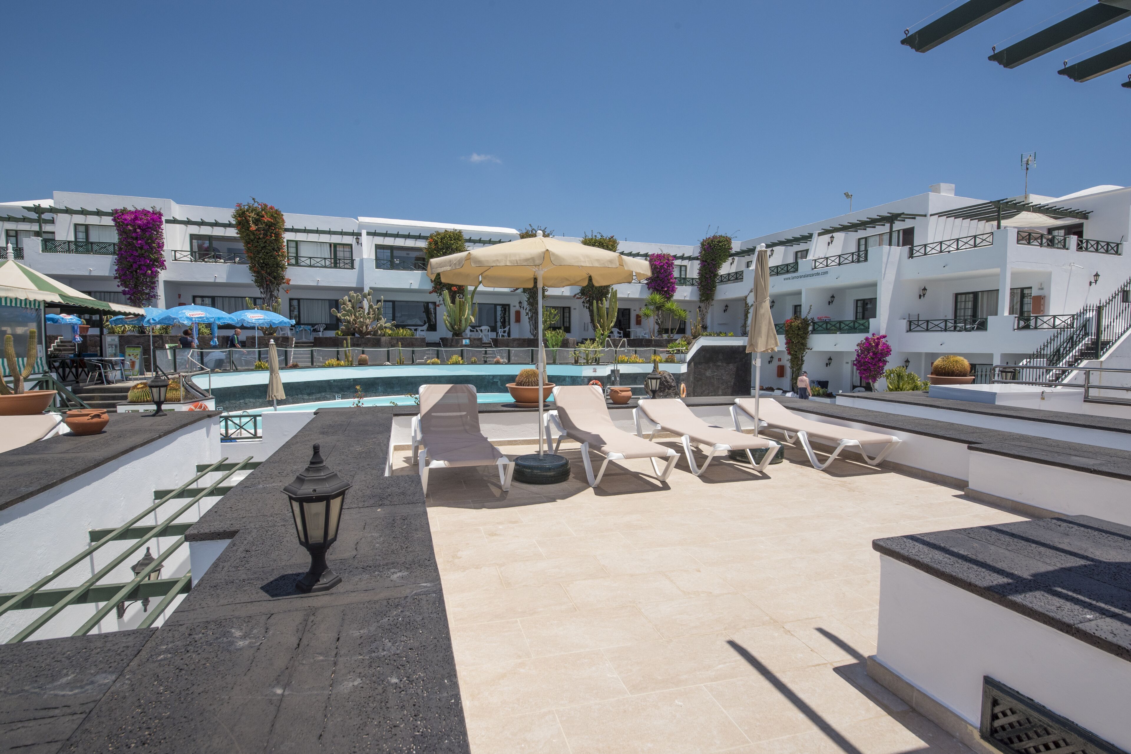Un espace piscine aménagé sur le toit, avec des chaises longues, des parasols et des plantes en pot.