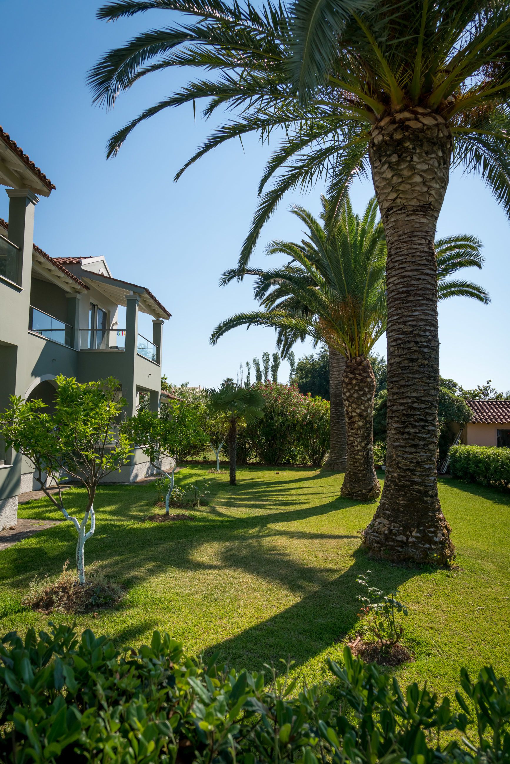 executive apartment | view from room