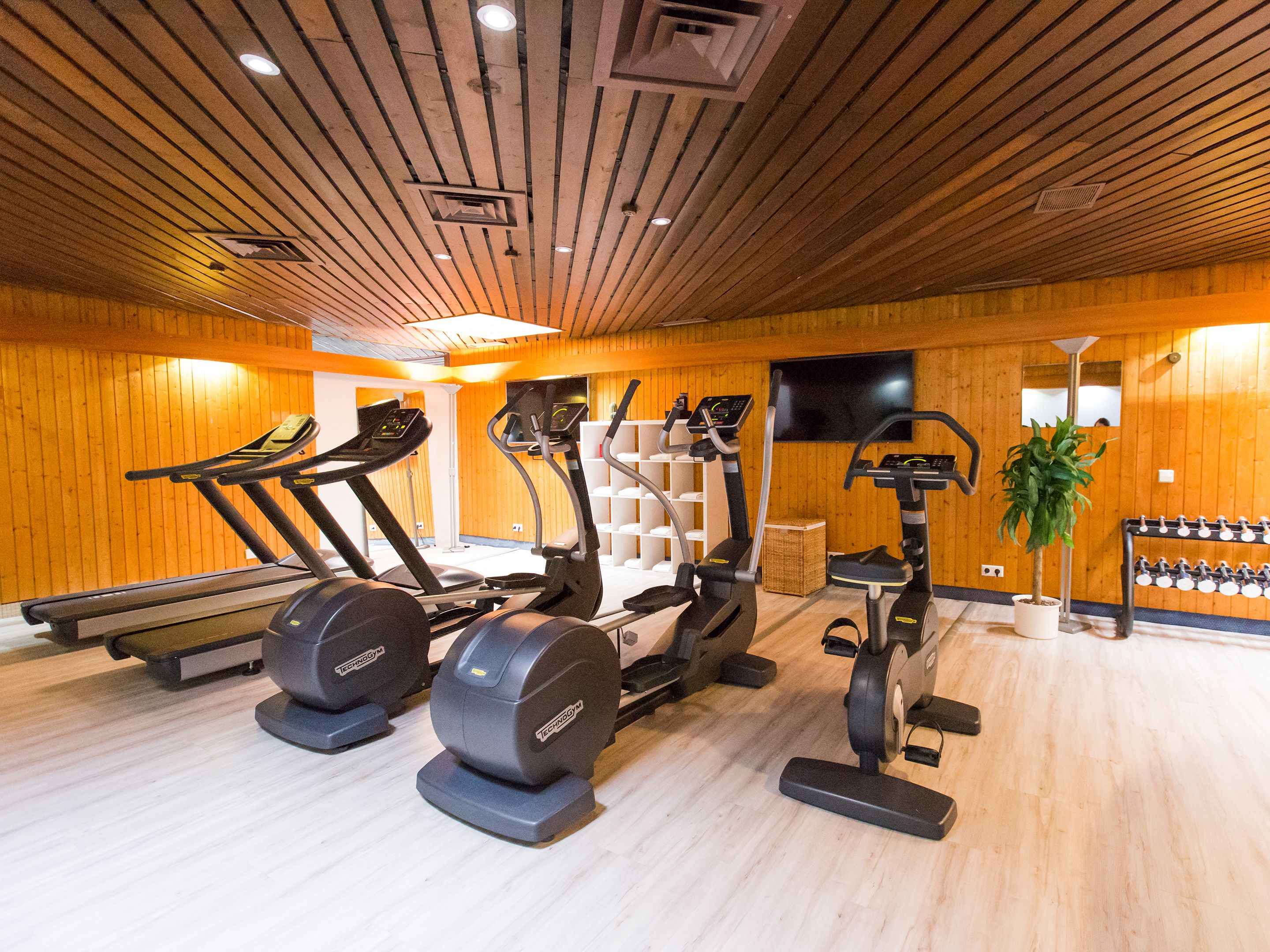 A gym with treadmills, elliptical machines, and weight machines.