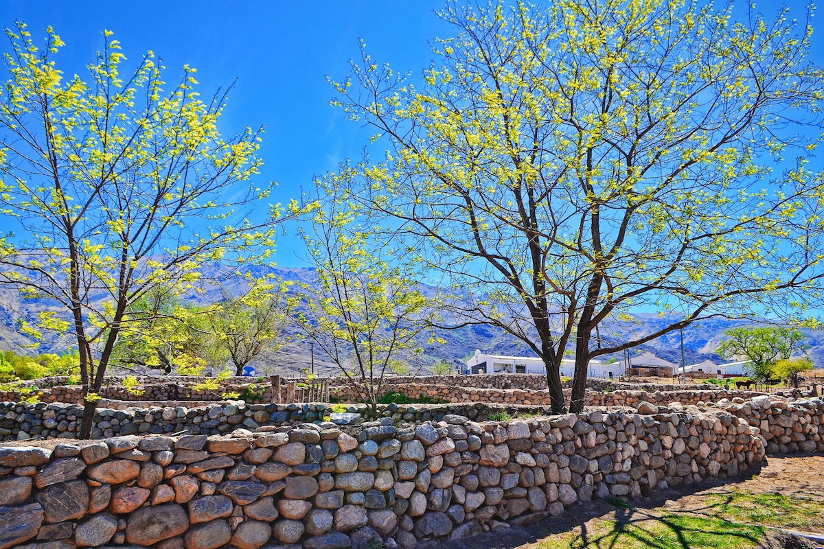 Jardín