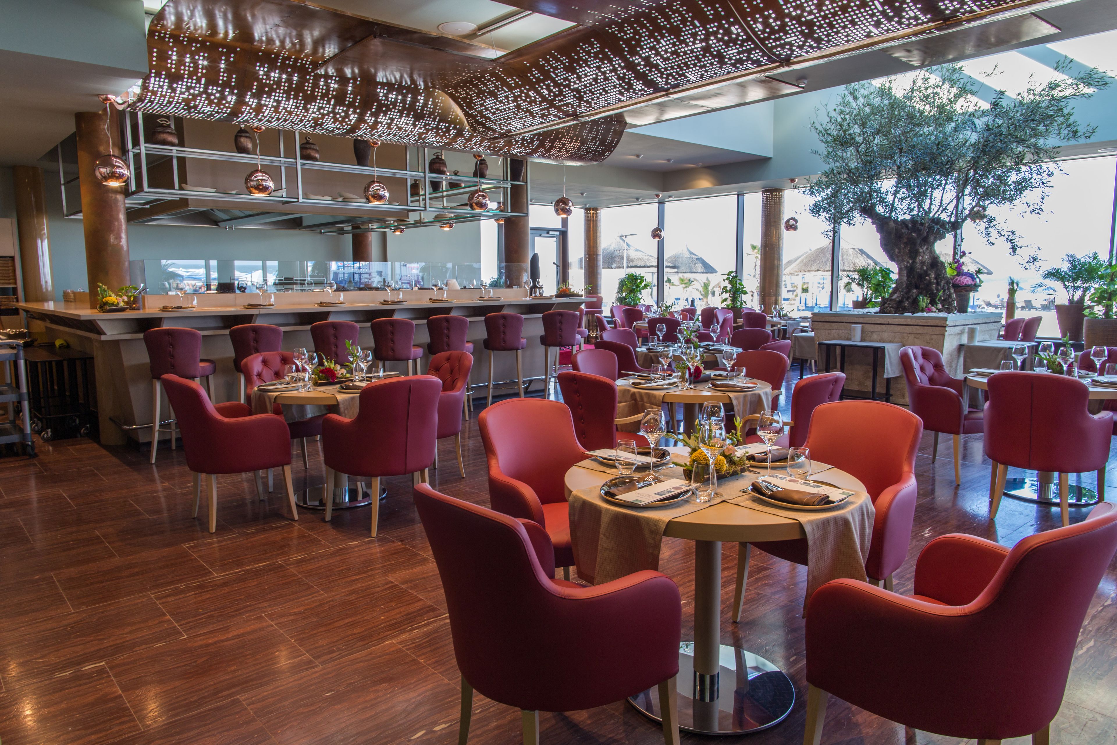 供應早餐、午餐和晚餐，海灘景觀