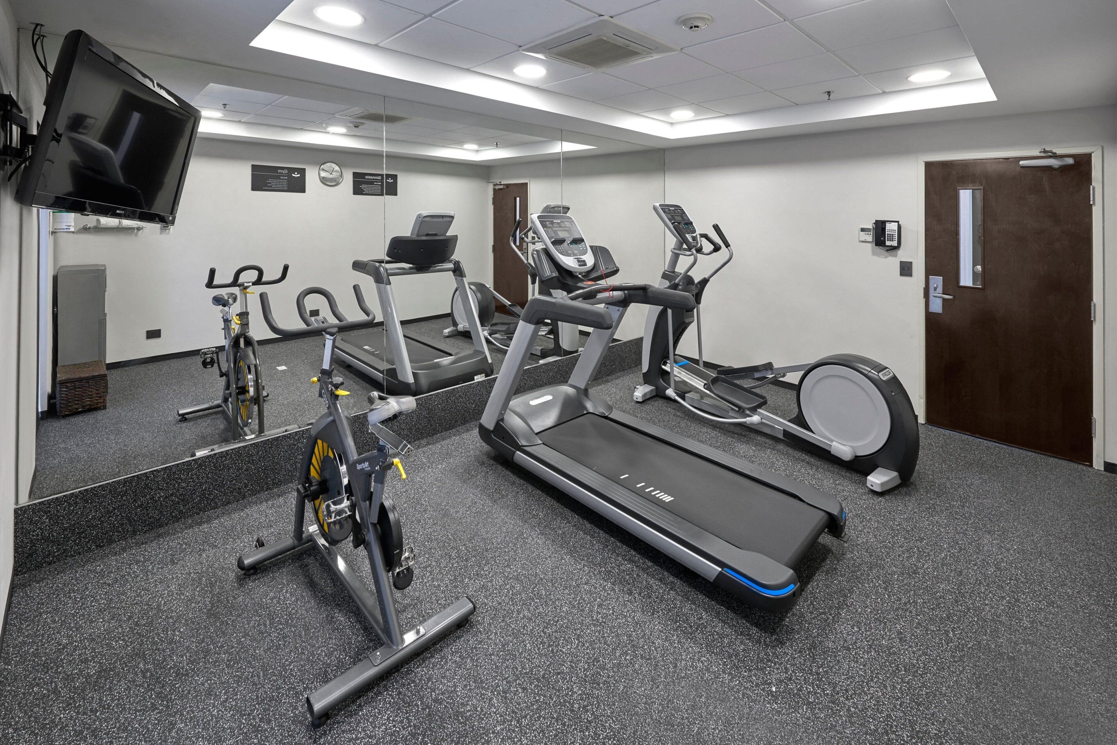 Un gimnasio con cintas de correr, elípticas y una bicicleta estática.