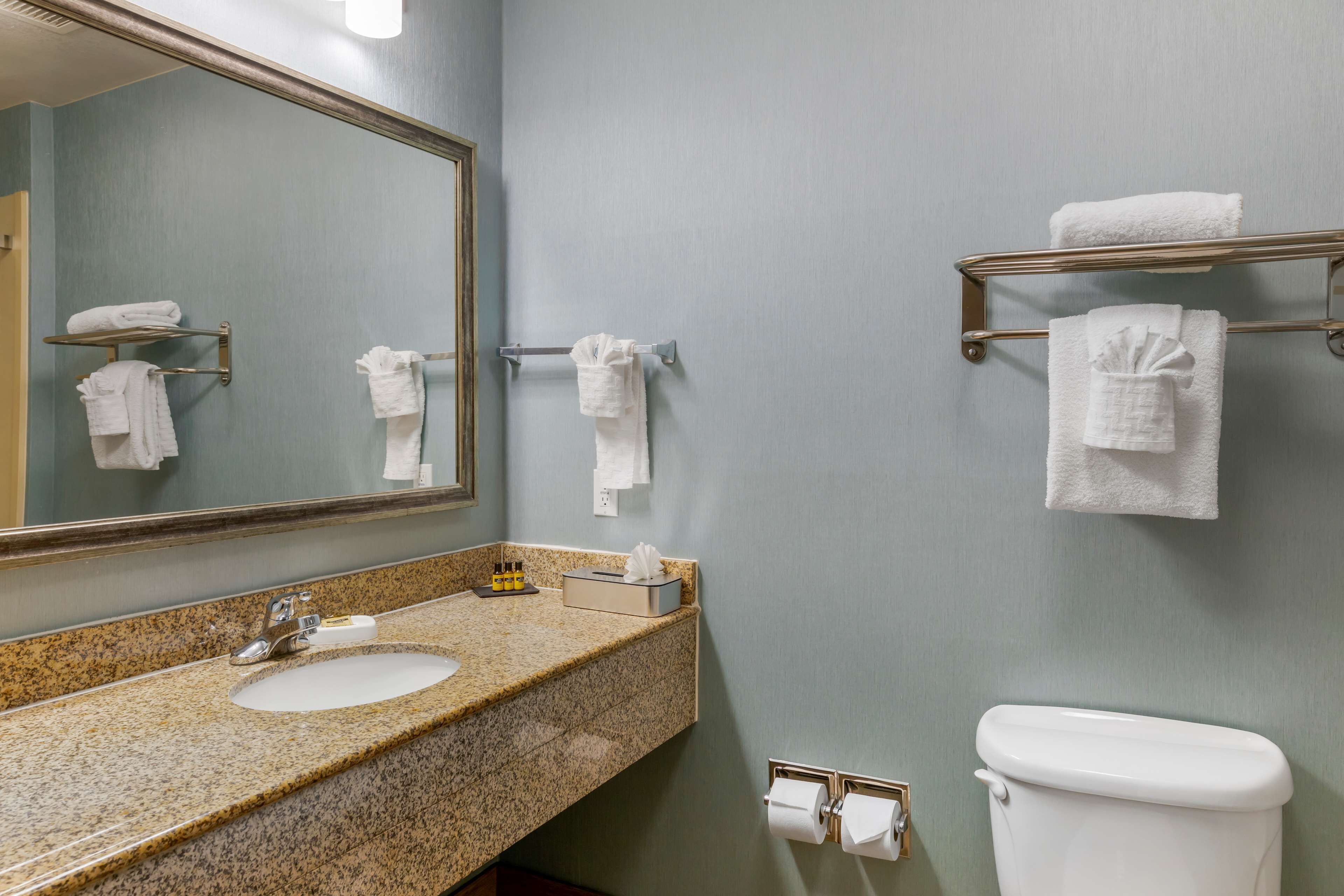 free toiletries, hair dryer, towels