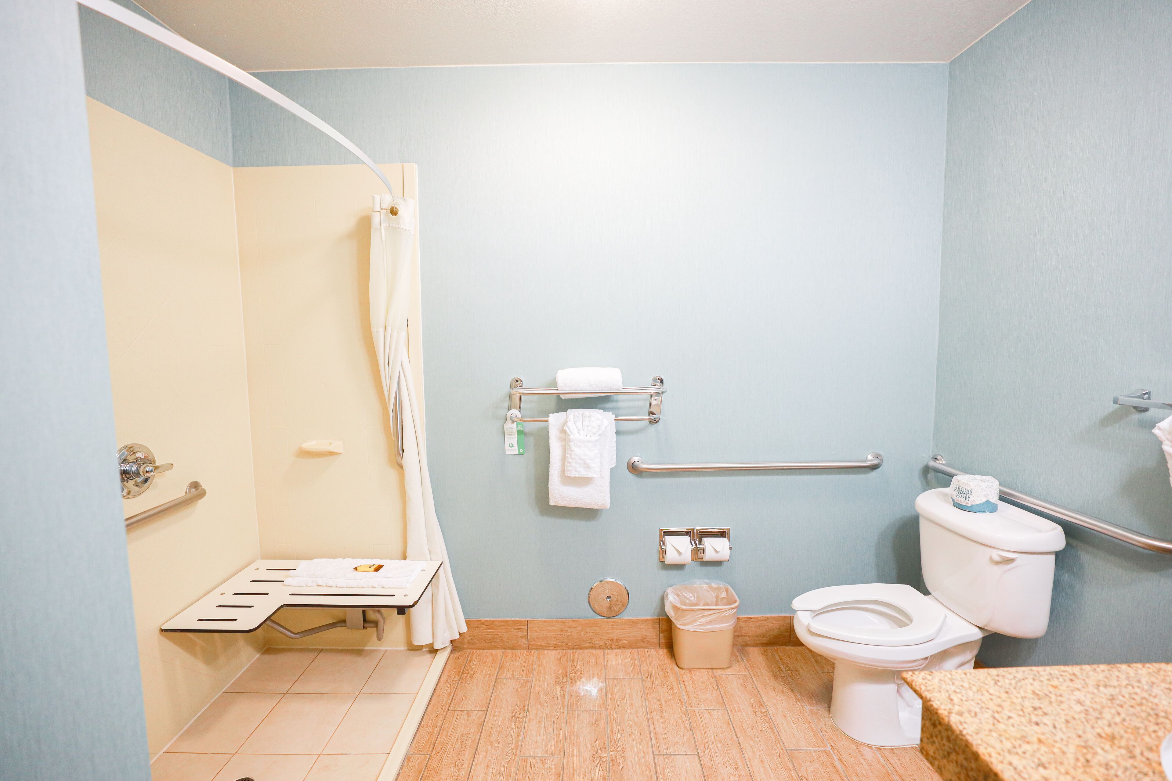 Een badkamer met douche, toilet, handgrepen en een handdoekhouder.