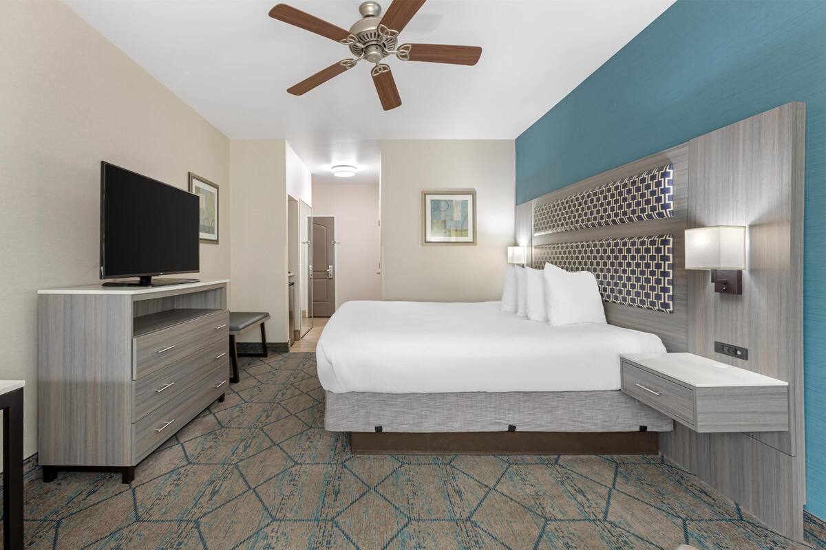 A hotel room with a bed, a TV, a desk, a chair, a ceiling fan, and a patterned carpet.