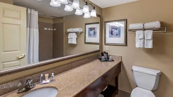 Combined shower/bathtub, free toiletries, hair dryer, towels