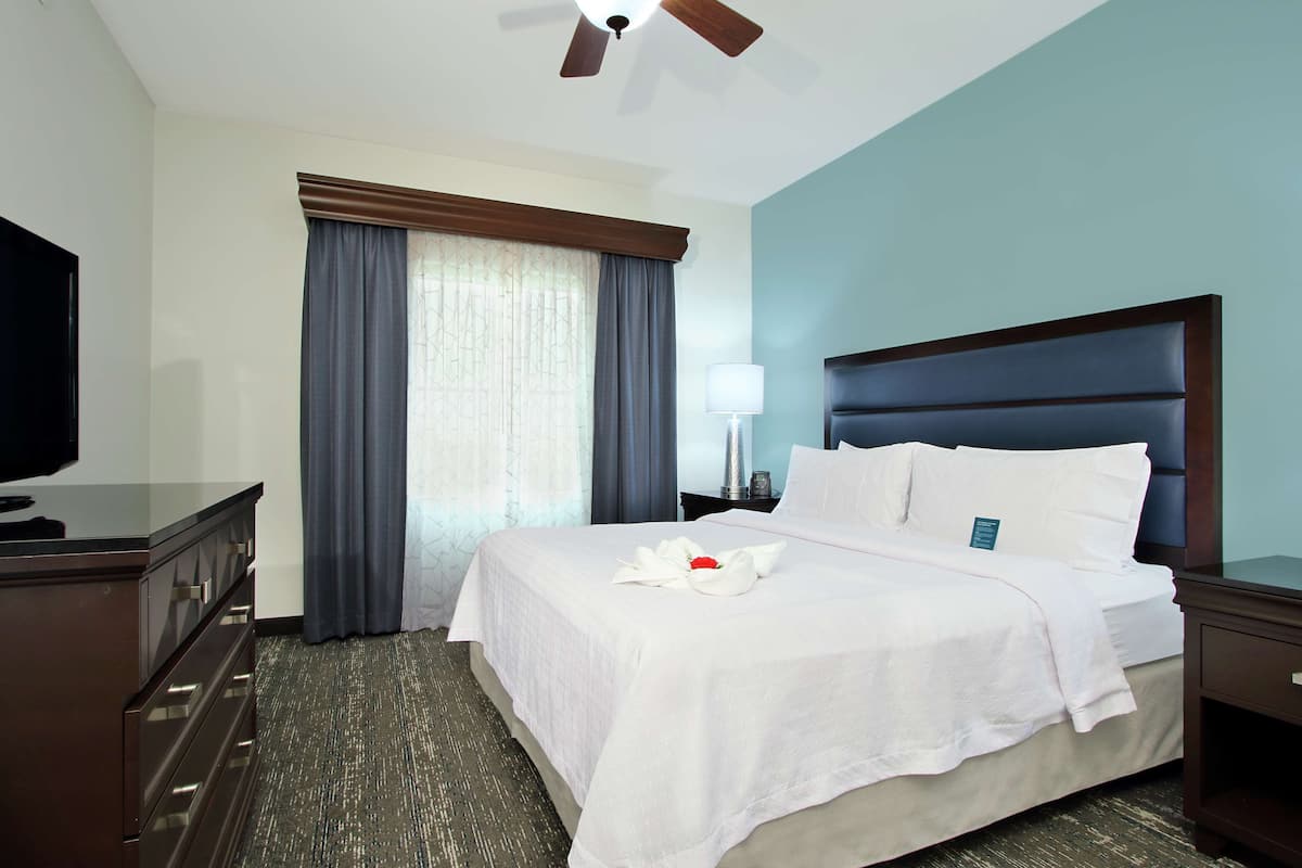 Una camera d'albergo con un letto, una televisione, una scrivania e una finestra con tende.