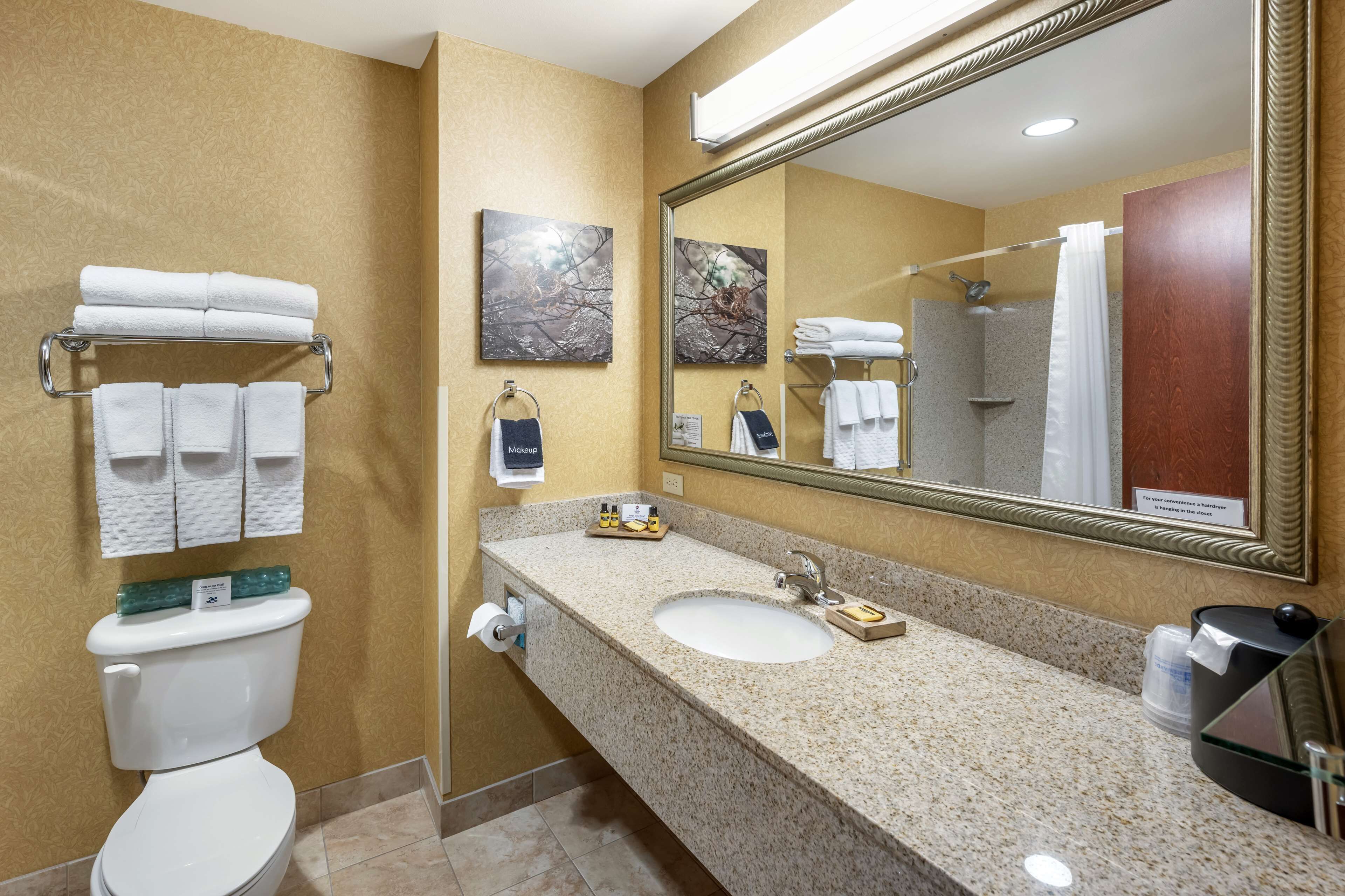 combined shower/bathtub, hair dryer, towels