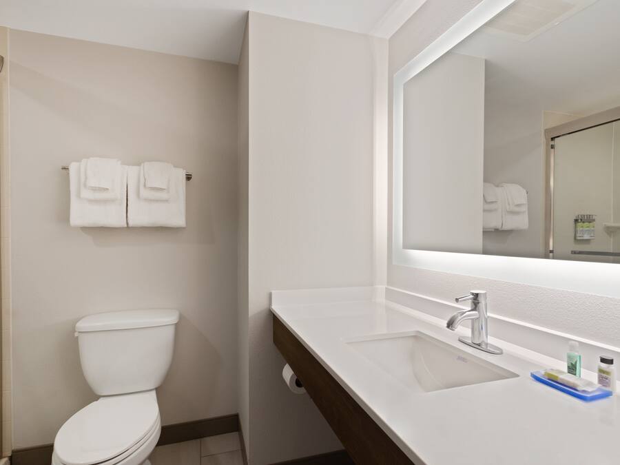 Een badkamer met toilet, wastafel, spiegel en handdoekhouder.