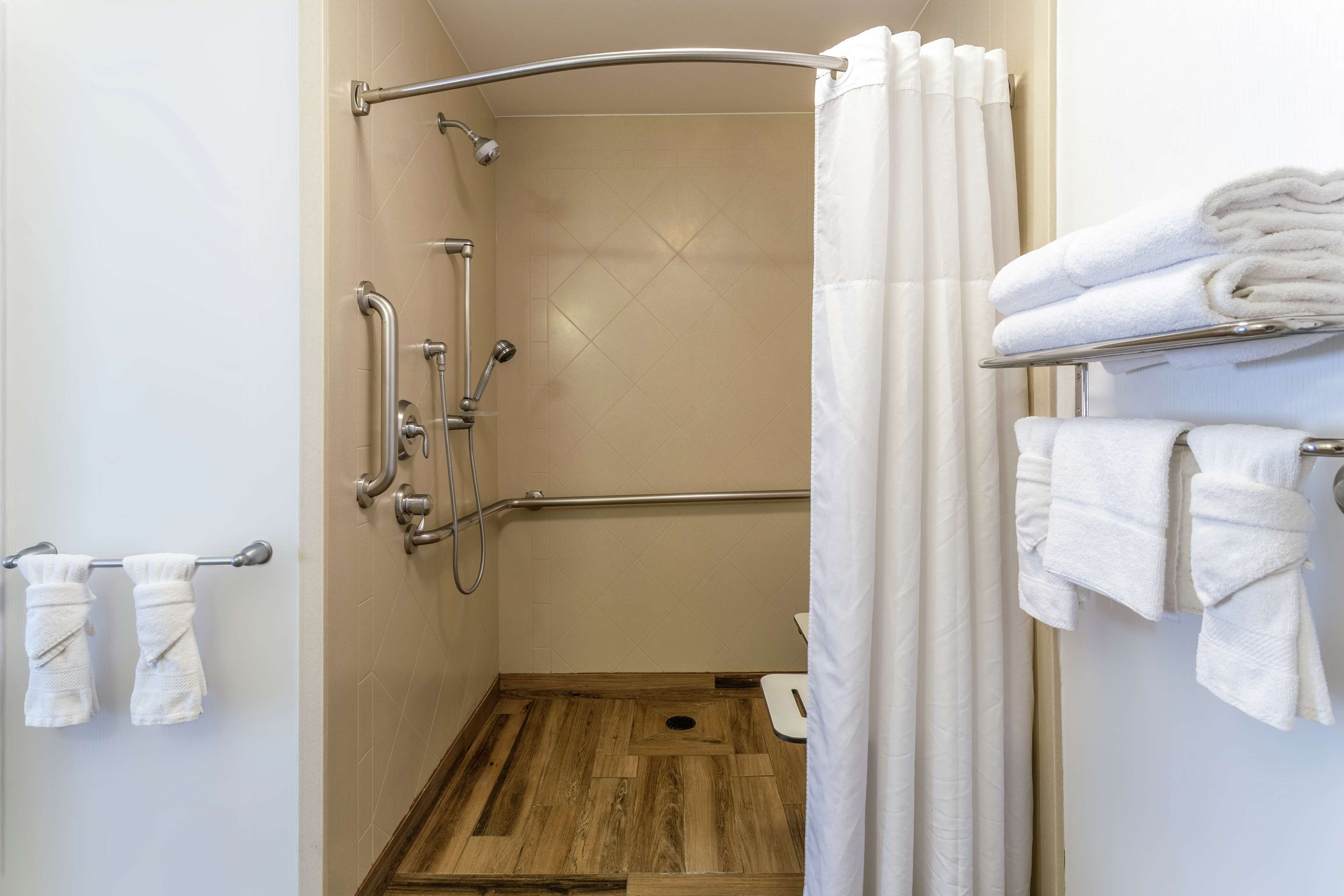 suite, 1 king bed, accessible, non smoking | bathroom shower