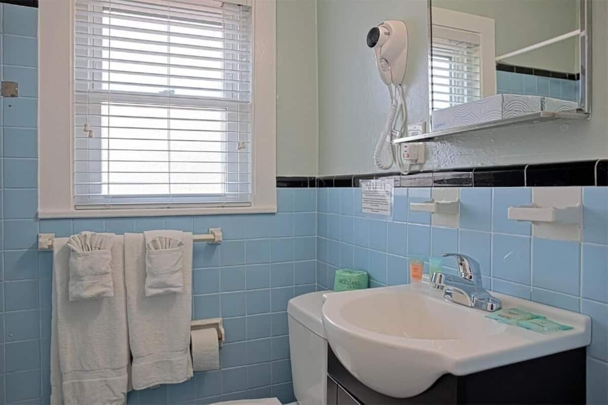 Hair dryer, towels, soap, shampoo