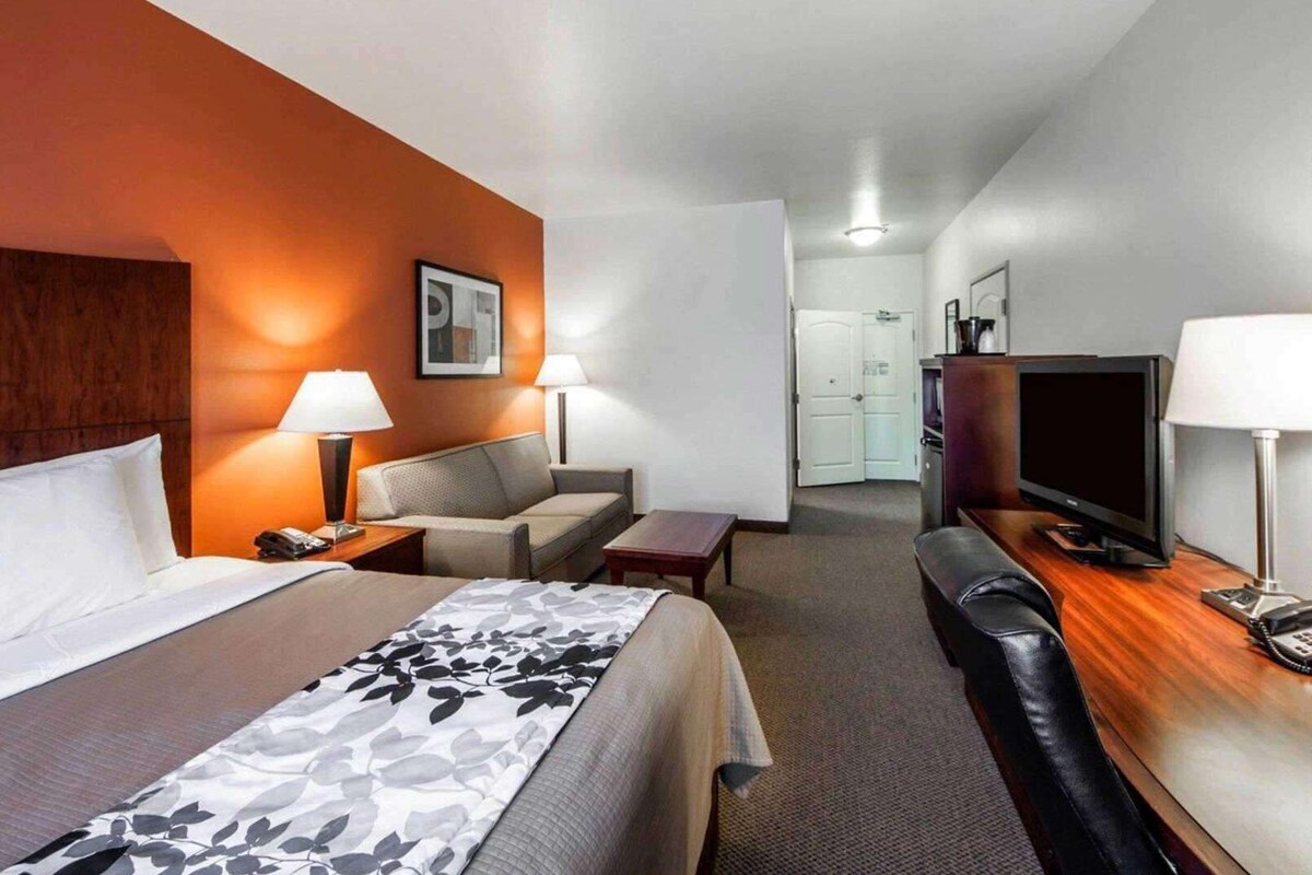 A hotel room with a bed, a sofa, a desk with a TV, and a lamp.