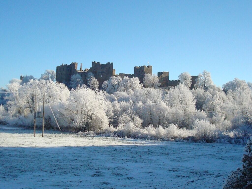 Eine Burg, umgeben von mit Frost bedeckten Bäumen.