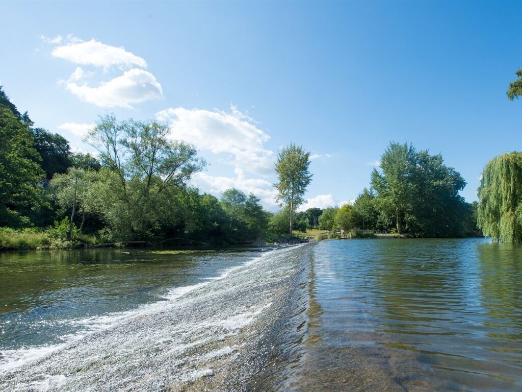 A river with a boat creating a wake, surrounded by lush greenery and trees.