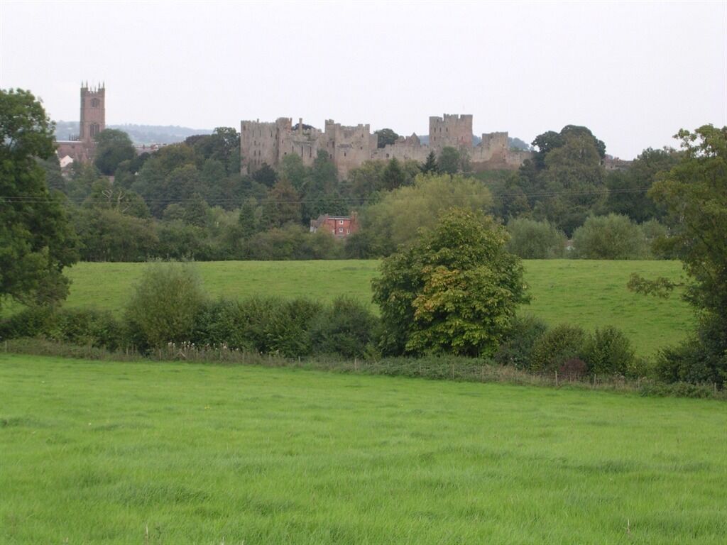 A castle surrounded by green fields and trees.