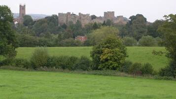 A castle surrounded by green fields and trees.