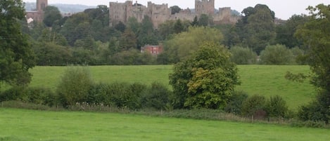 A castle surrounded by green fields and trees.