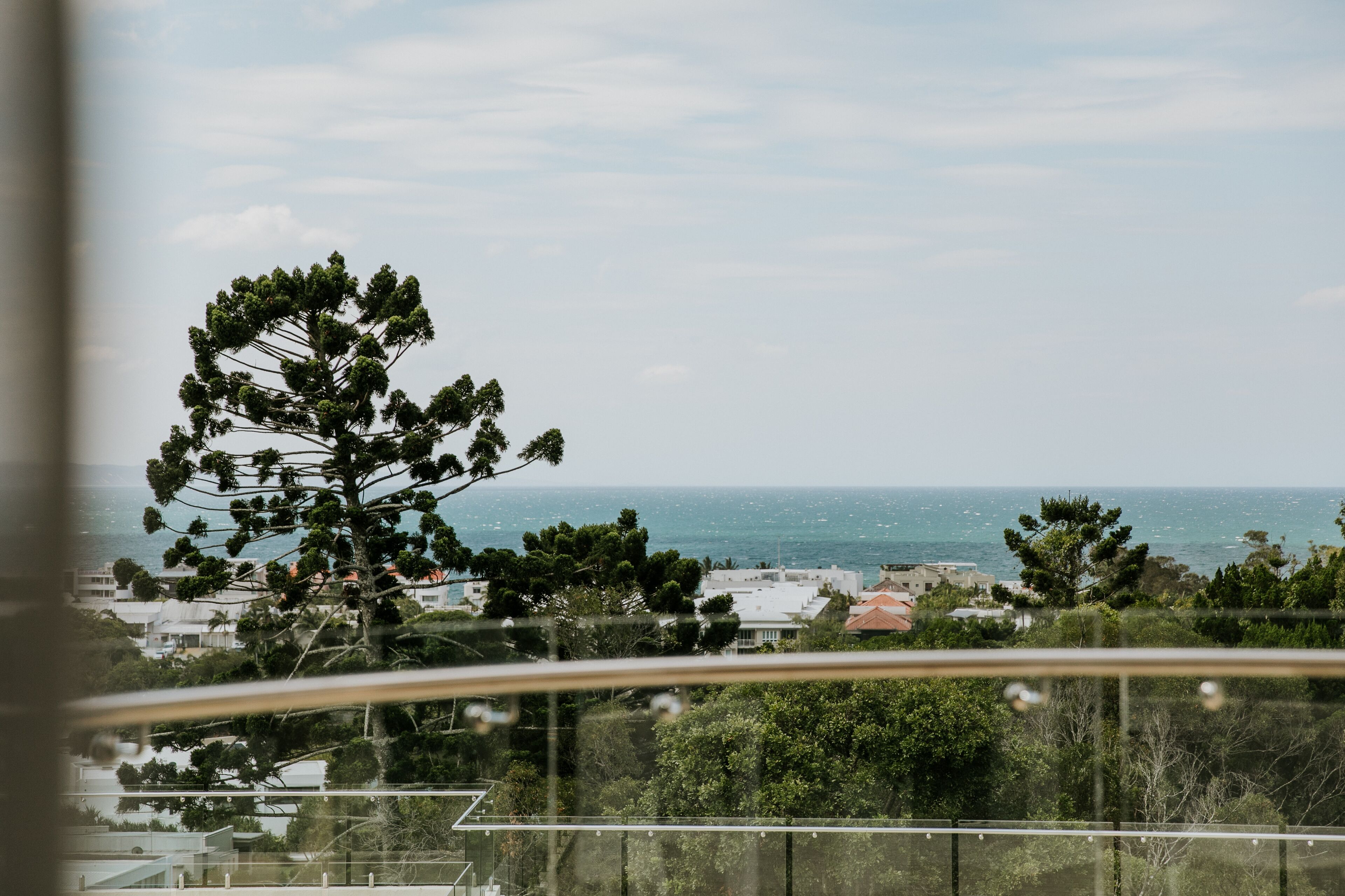 A coastal view with a prominent tree in the foreground, a clear sky, and buildings in the background.