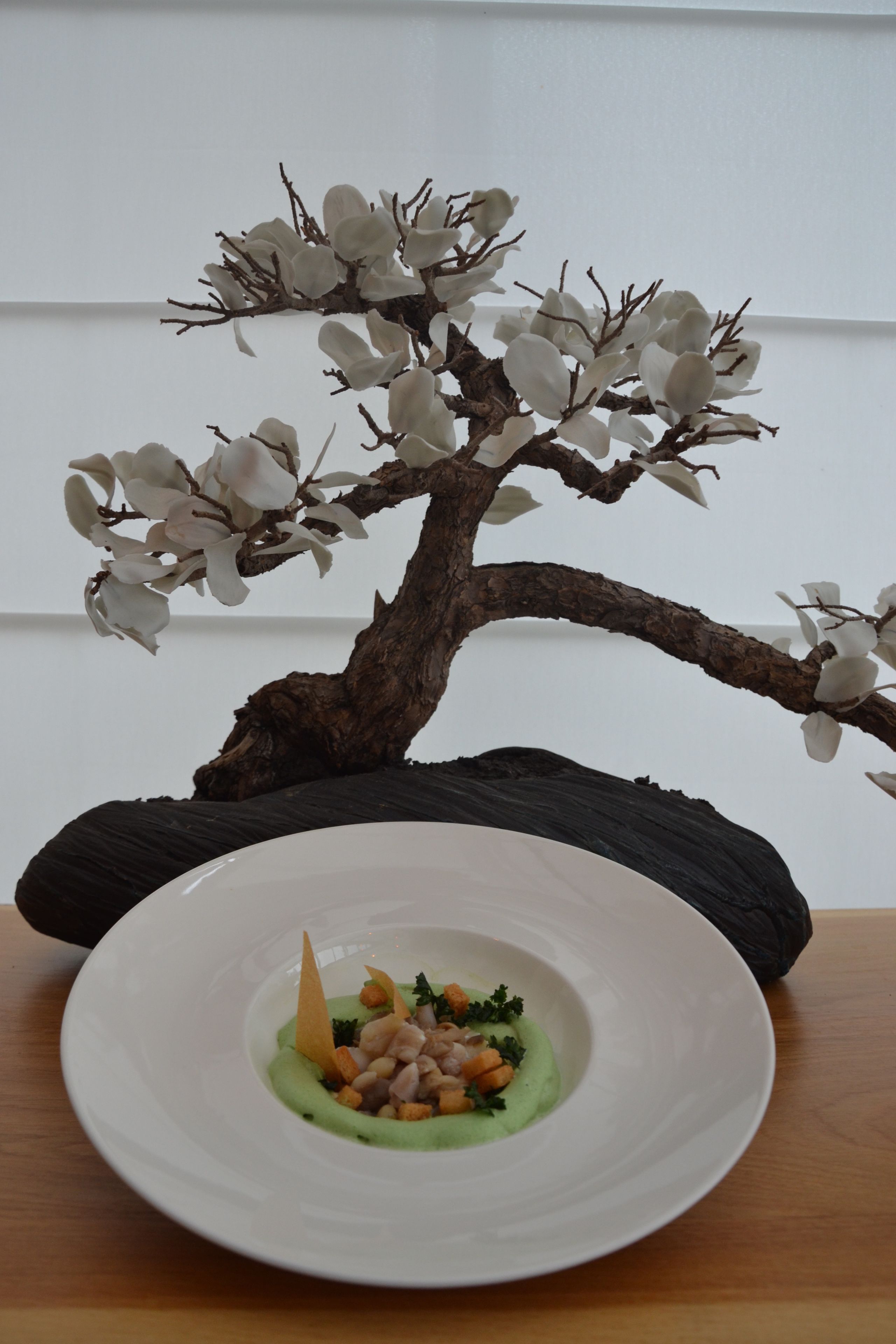 A bonsai tree with white flowers on a table next to a white plate with a green dish.