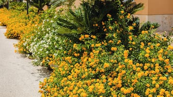 Ein Weg, gesäumt von gelben Blüten und grünem Laub, der zu einem Gebäude mit Balkonen führt.