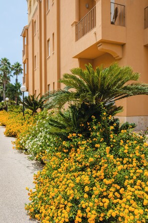 Un sentier bordé de fleurs jaunes et de feuillage verdoyant, qui mène à un bâtiment doté de balcons.