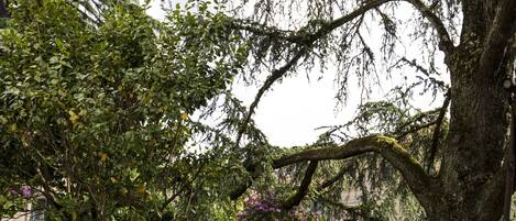 Un jardín con zona de estar, que incluye sillas y mesas de metal, rodeado de setos y árboles bien cuidados.