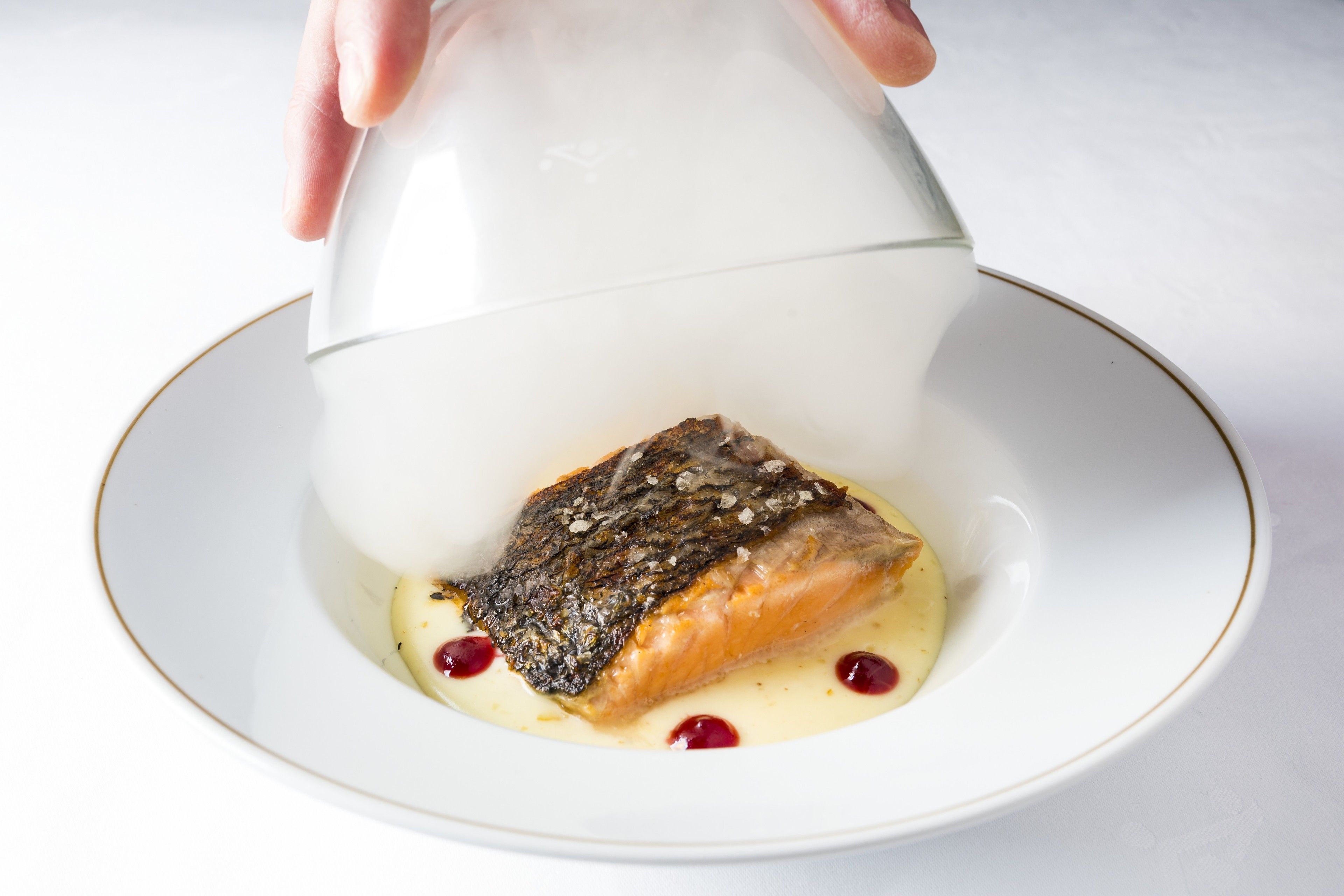 Une assiette blanche contenant un morceau de saumon et une sauce crémeuse, le tout garni de baies rouges.