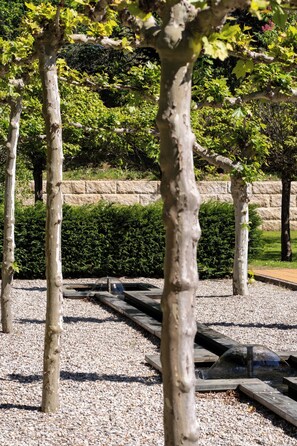 A garden with a gravel path, trees, and a hedge in the background.