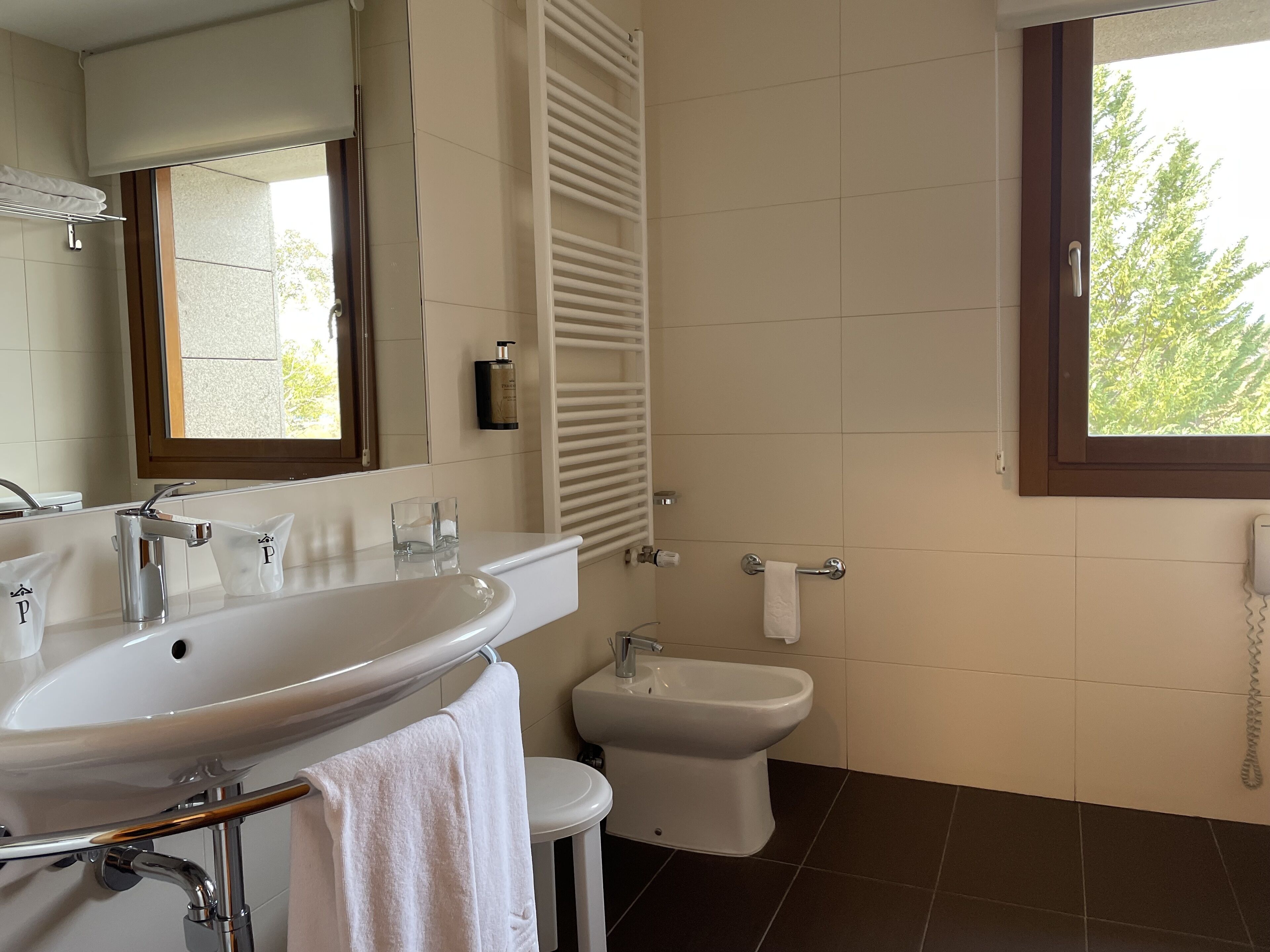 standard twin room | bathroom | free toiletries, hair dryer, bidet, towels