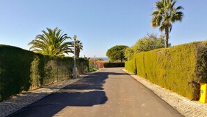 A paved road flanked by neatly trimmed hedges and a palm tree. - Porto Mós Residence (Lagos)