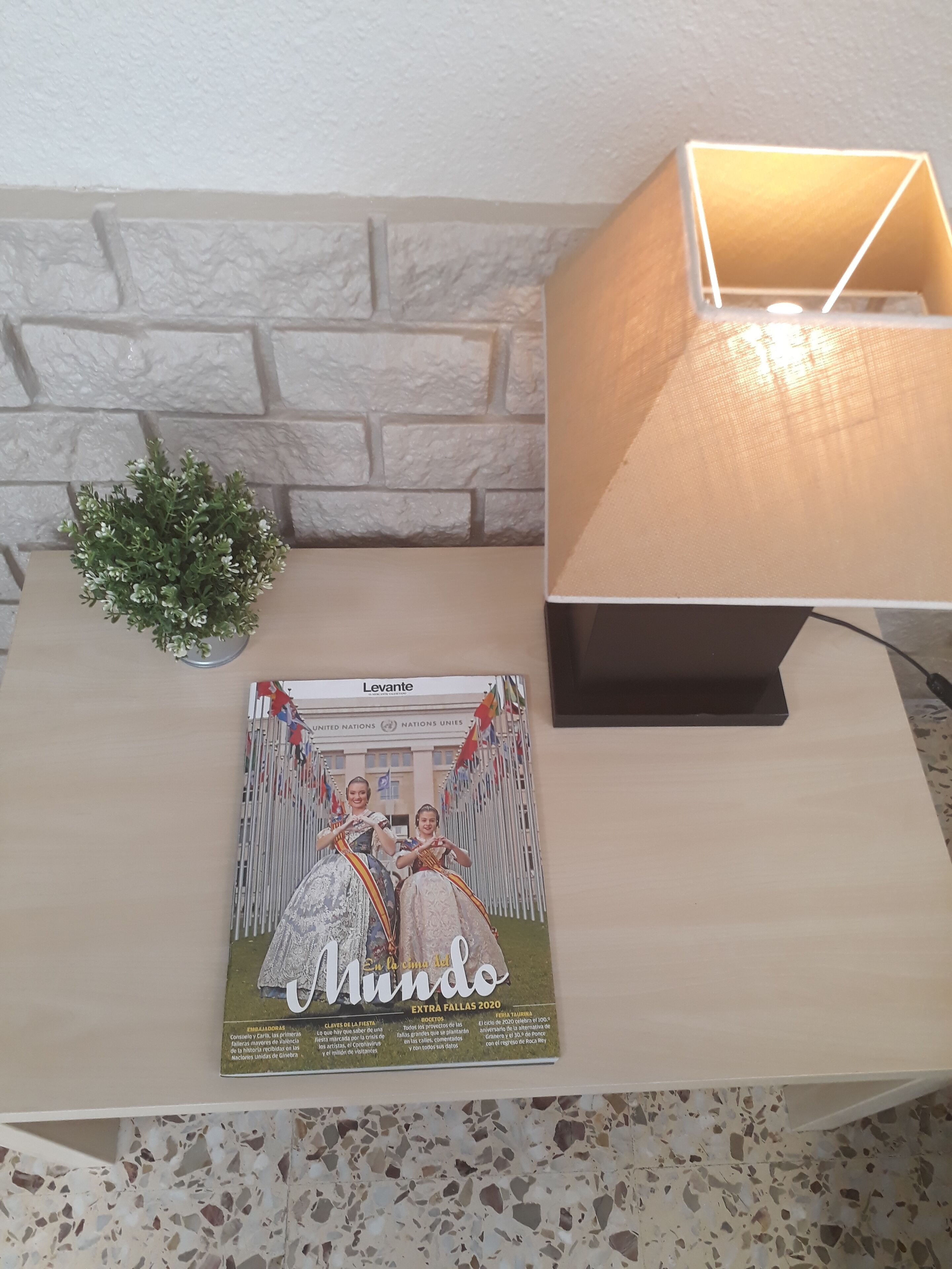 Una mesa de madera con una revista, una planta pequeña y una lámpara.