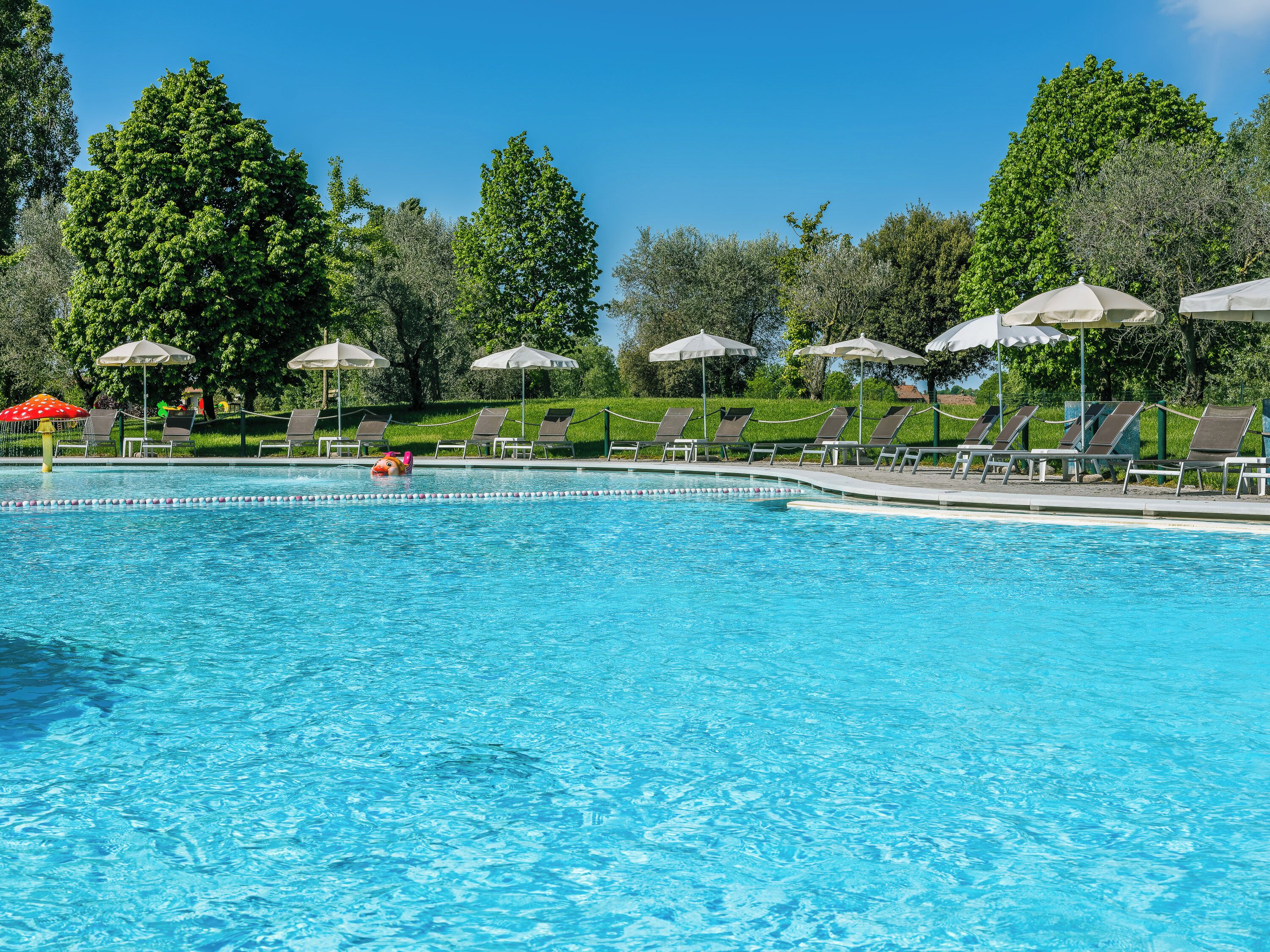 Une piscine entourée d’arbres, avec des chaises longues et des parasols.