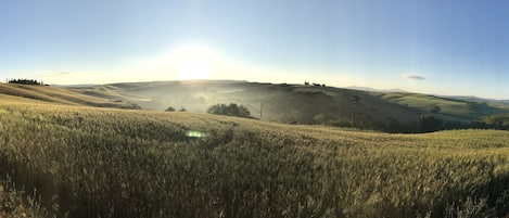 Vista panorámica de un paisaje montañoso con cielo despejado y luz solar.