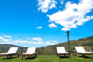 Outdoor pool, pool umbrellas, sun loungers
