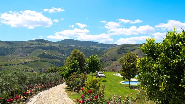 A vineyard landscape with a pool, trees, and a stone pathway. - Hotel Rural Quinta do Silval (Alijó)