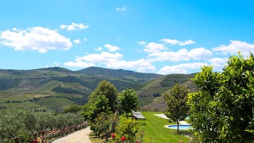 Piscine extérieure, parasols de plage, chaises longues