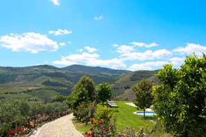 A vineyard landscape with a pool, trees, and a stone pathway.