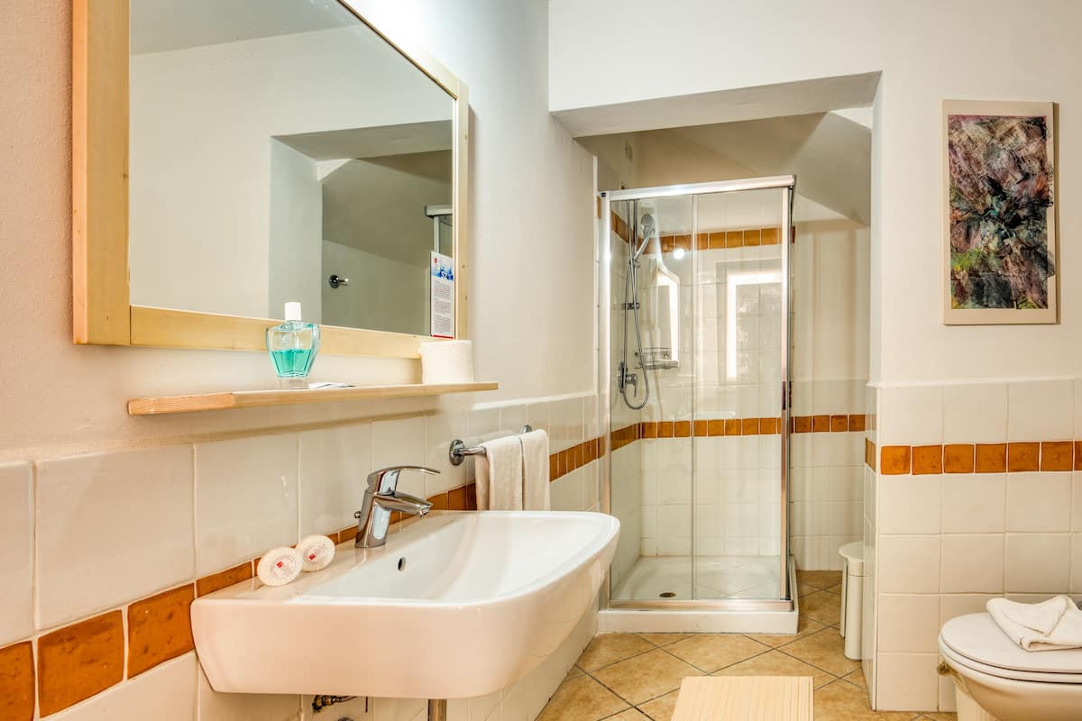 shower, bidet, towels