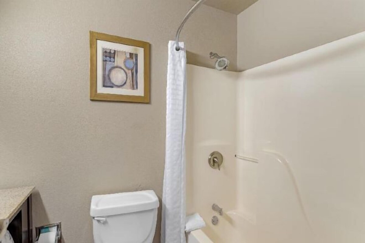 A bathroom with a toilet, shower, and a framed picture on the wall.