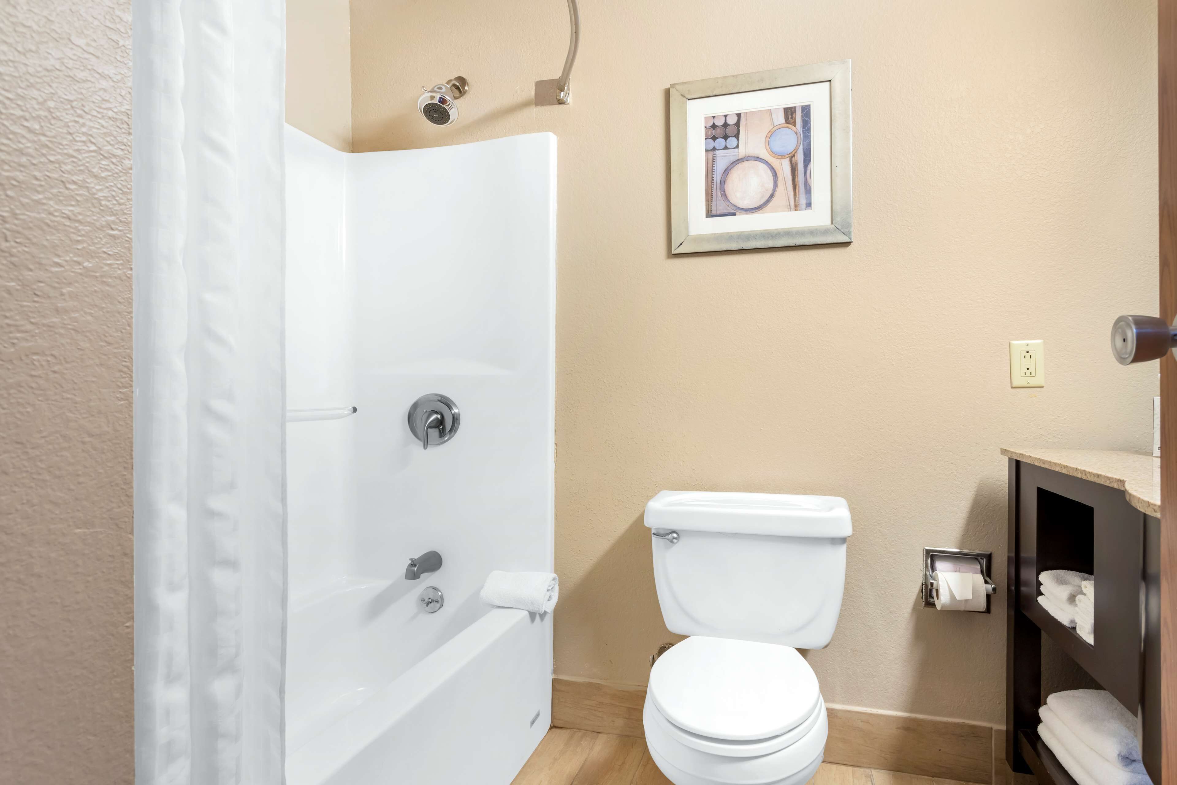 combined shower/bathtub, free toiletries, hair dryer, towels