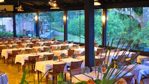 Un restaurante con varias mesas y sillas, amplias ventanas que ofrecen vistas a la vegetación, y lámparas colgantes.