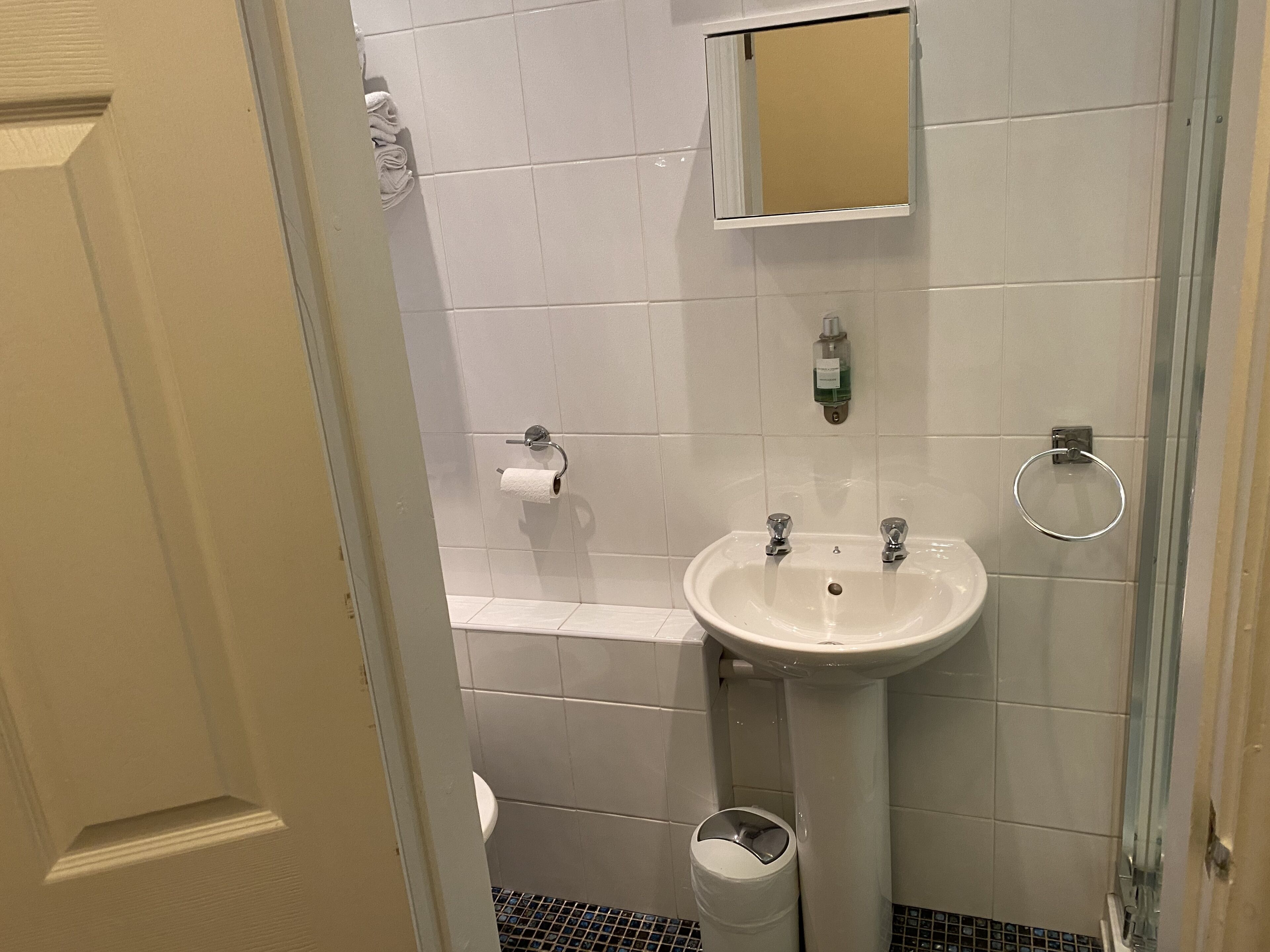 Un bagno con un lavandino bianco, uno specchio, un water e un cestino.