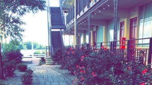 Un edificio con escaleras de emergencia, un espacio exterior cubierto con flores rojas y un sendero.