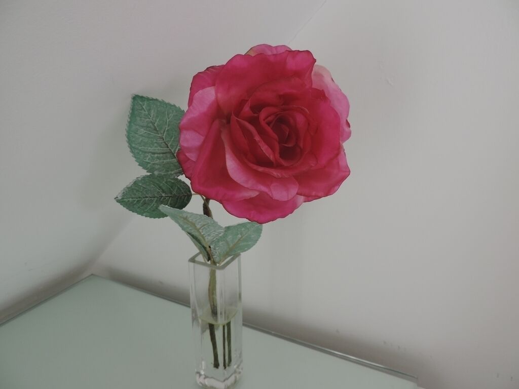 منوع