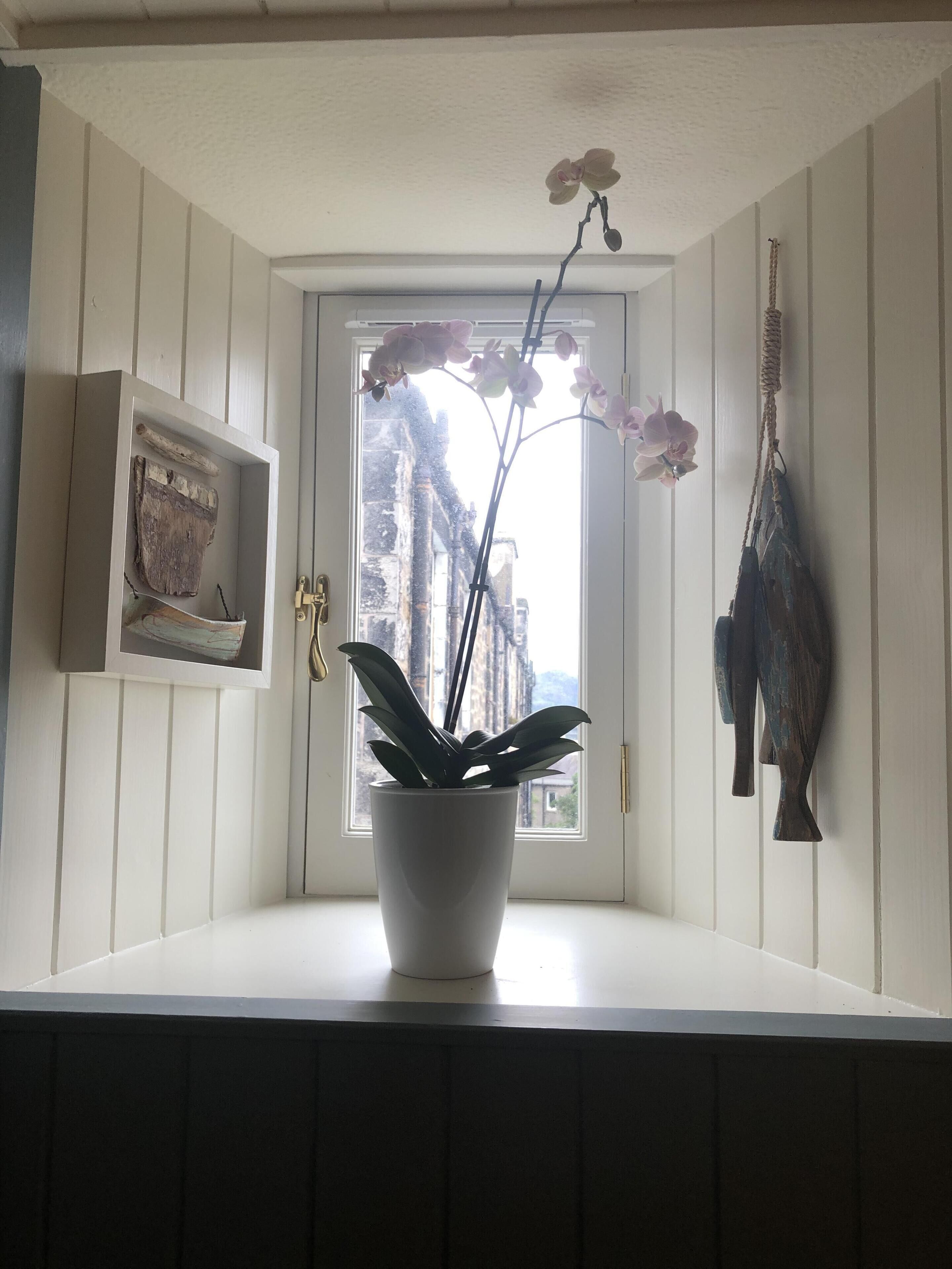 Foto - Sheridan Guest House