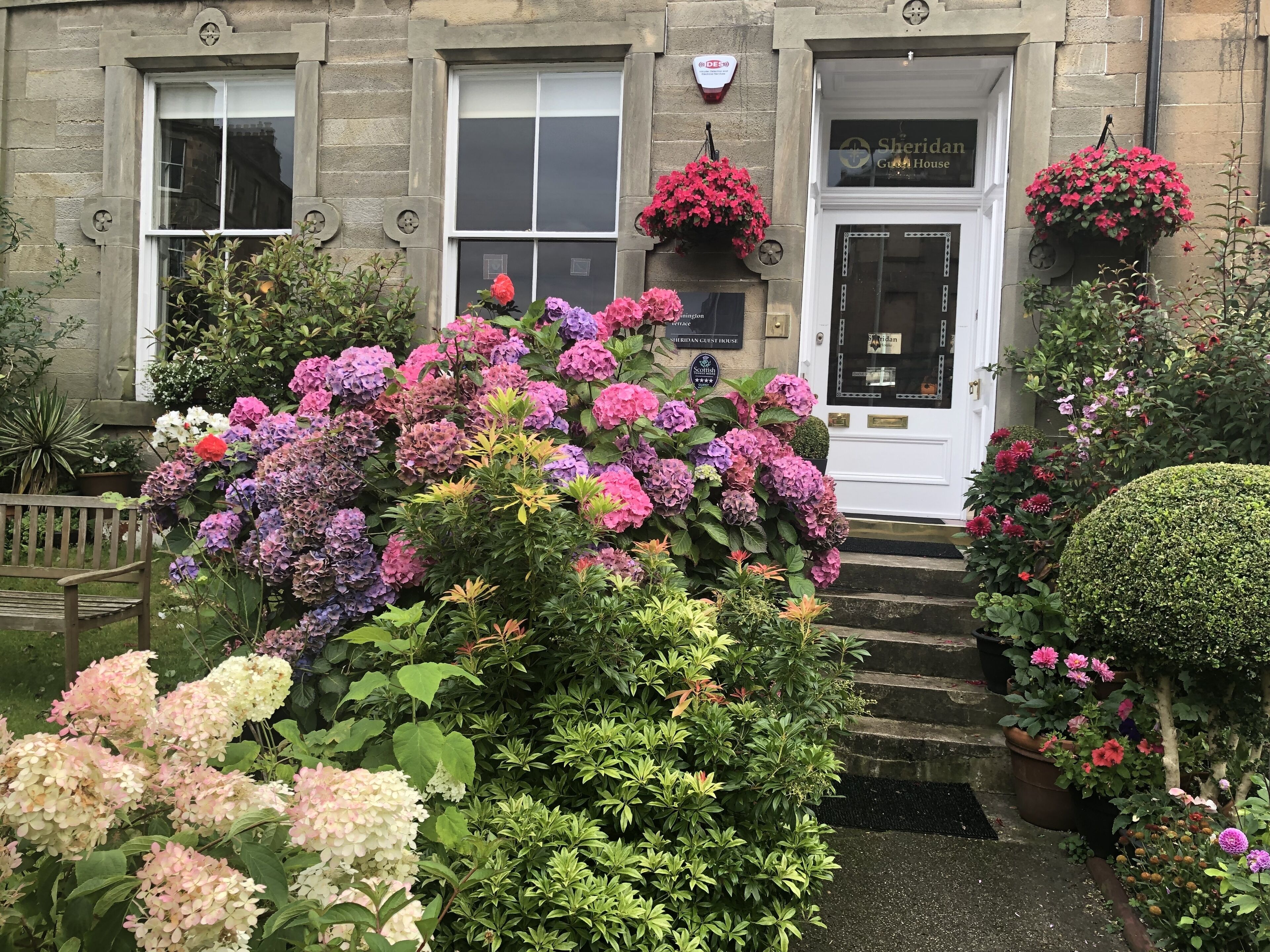 Foto - Sheridan Guest House