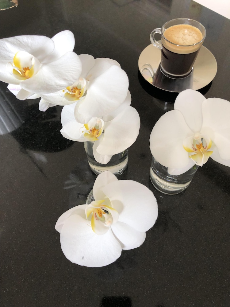 Sheridan Edinburgh Guest House by null