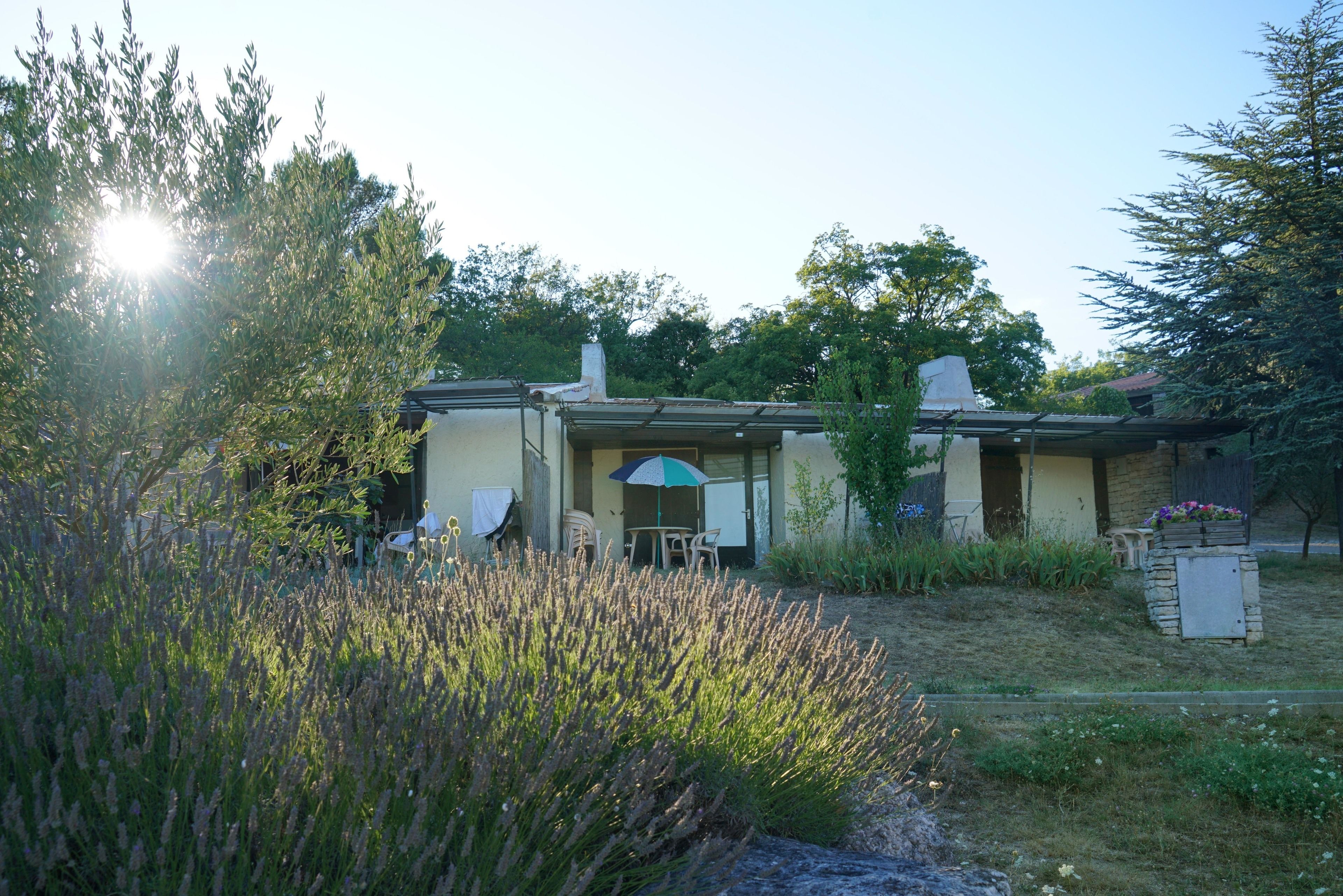 A house with a patio area, a covered seating area, and a garden with tall plants.