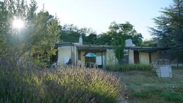 A house with a patio area, a covered seating area, and a garden with tall plants.